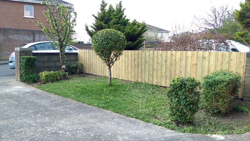 View of the new wooden fence